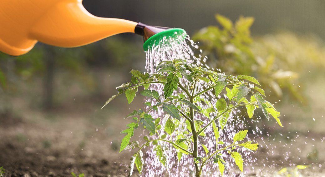 Стартовая терапия вульвовагинальных нарушений в постменопаузе