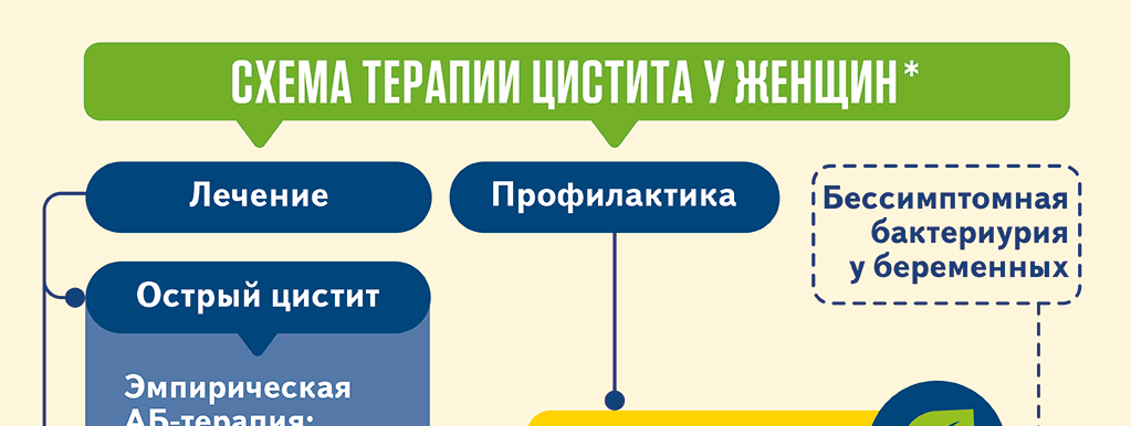 Схема терапии цистита у женщин*