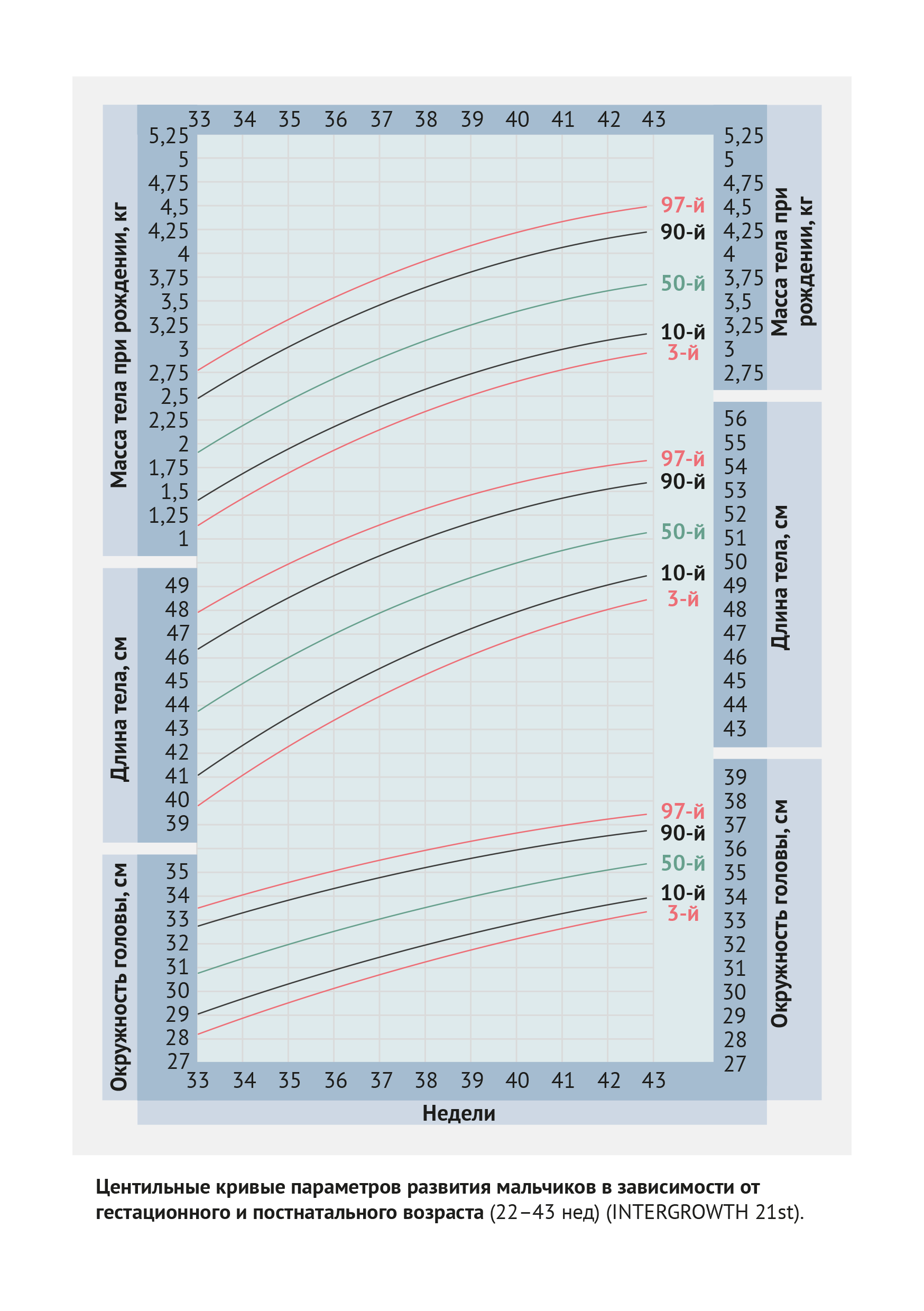 Центильные кривые, мальчики, 22–43 нед. (INTERGROWTH 21st)
